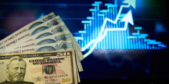 Dolar/TL 49,1630 Zirvesiyle Tüm Zamanların Rekorunu Yeniledi