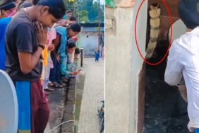 Hindistan'da Bir Evin Klozetinden Çıkan Zehirli Kobra Paniğe Neden Oldu