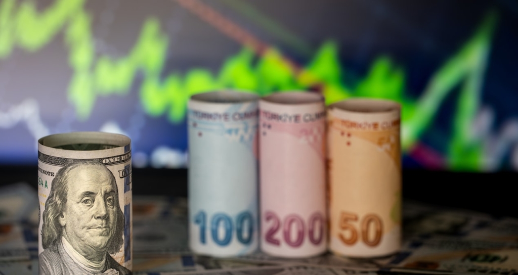 Dolar küresel piyasalarda gerilerken yurt içinde yeni zirveler görüldü