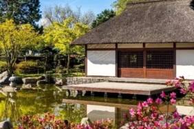 Japonya Kırsalında 1 Dolara Satılan Gayrimenkuller Yüksek Maliyet Engeline Takılıyor