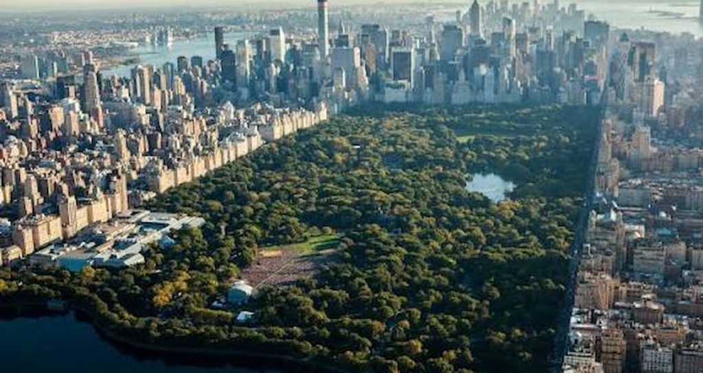 New York Central Park'ta Bıçaklı Cinsel Saldırı Şüphelisi Aranıyor